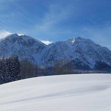 'Dasbergblick' Altaussee Extérieur photo