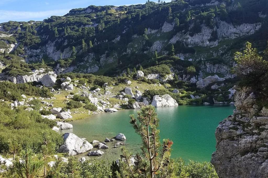 'Dasbergblick' Altaussee Extérieur photo