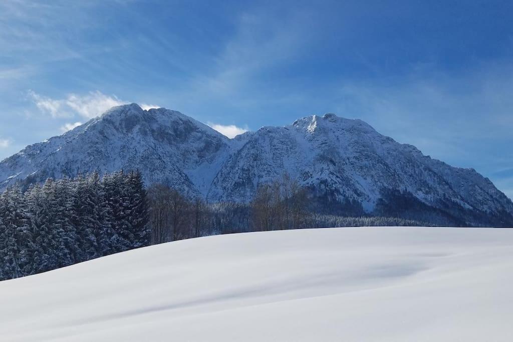 'Dasbergblick' Altaussee Extérieur photo