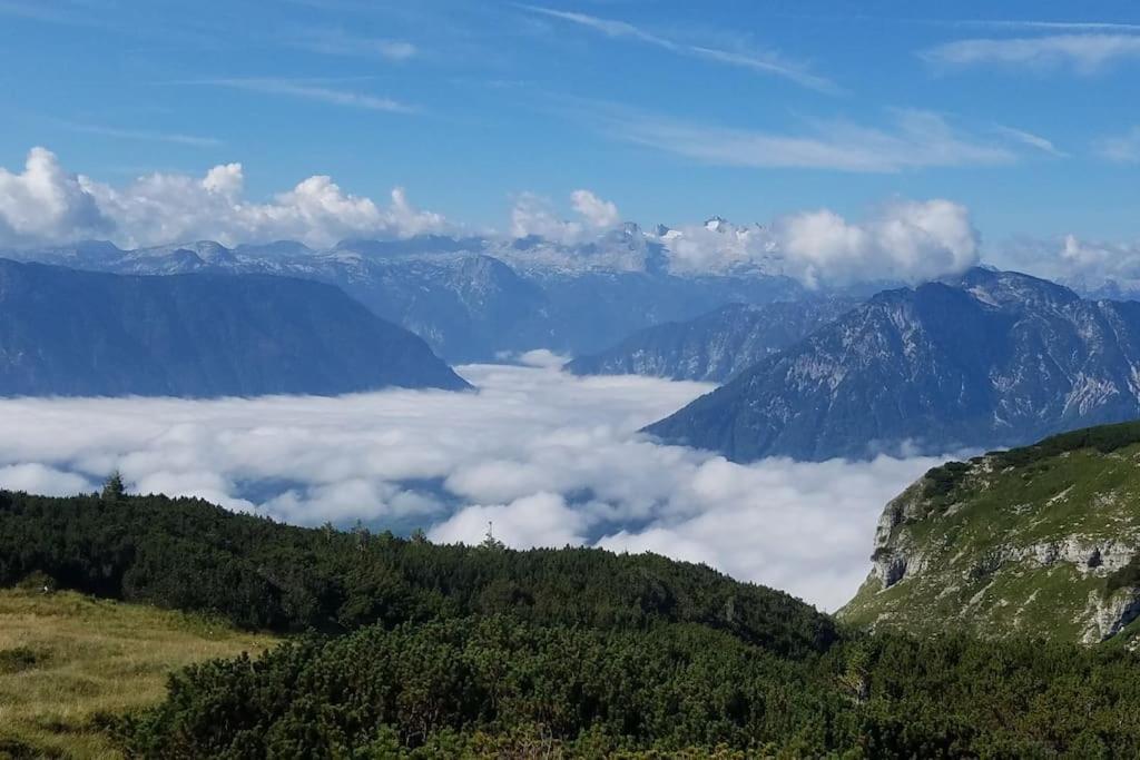 'Dasbergblick' Altaussee Extérieur photo